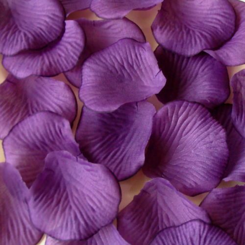 1200pc Eggplant Purple Silk rose petals for wedding 2  
