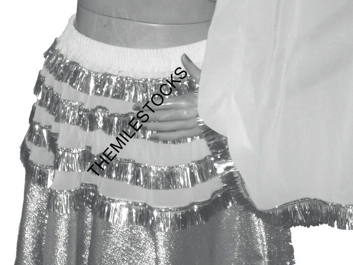 TMS SILVER Tissue Brocade Skirt Top Veil Belly Dance NW  