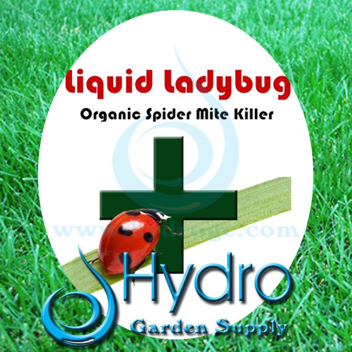 Liquid Ladybug 16oz Spray Bottle Spider Mite Killer  